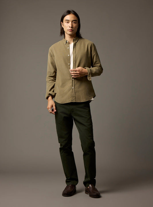 Chino Paul Evergreen